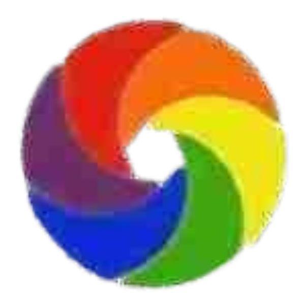 Wordpress  Developer