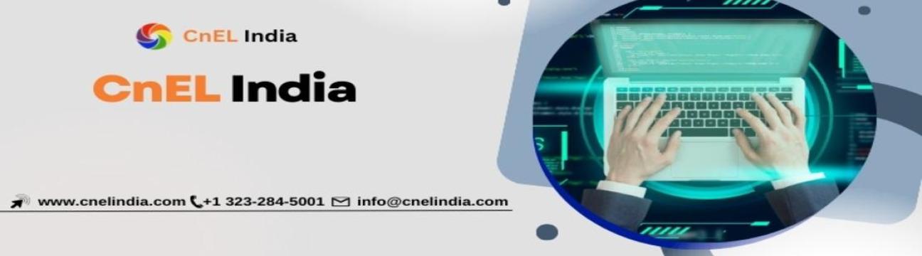CnEL India