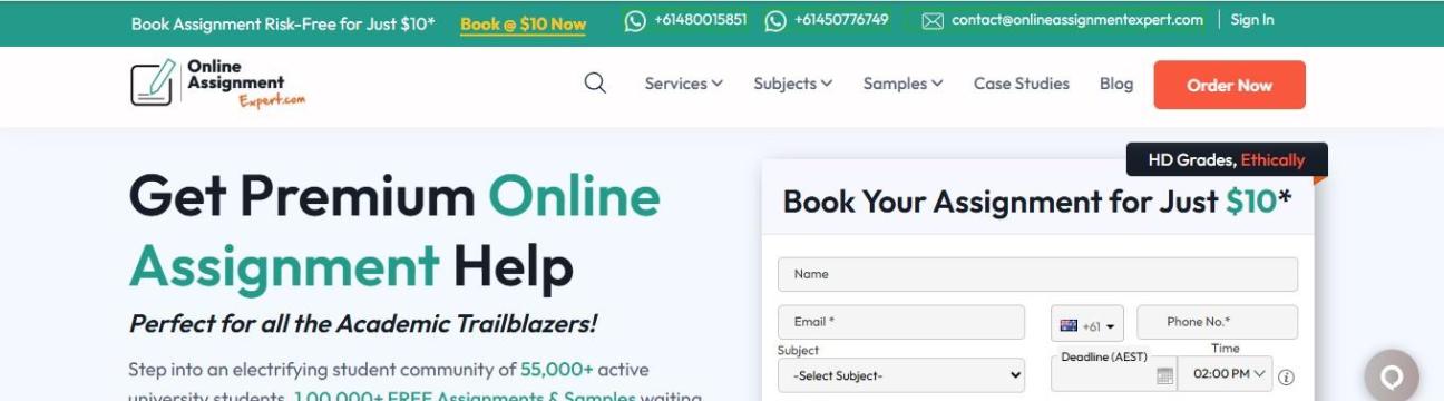 Online Assignment Expert