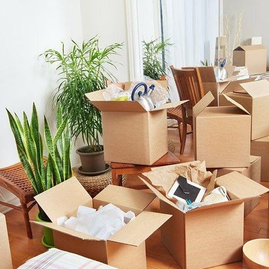 Budget City Movers Dubai