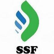 Visa Consultant  In Lahore