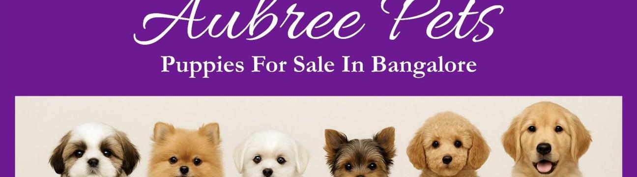 Aubree Pets
