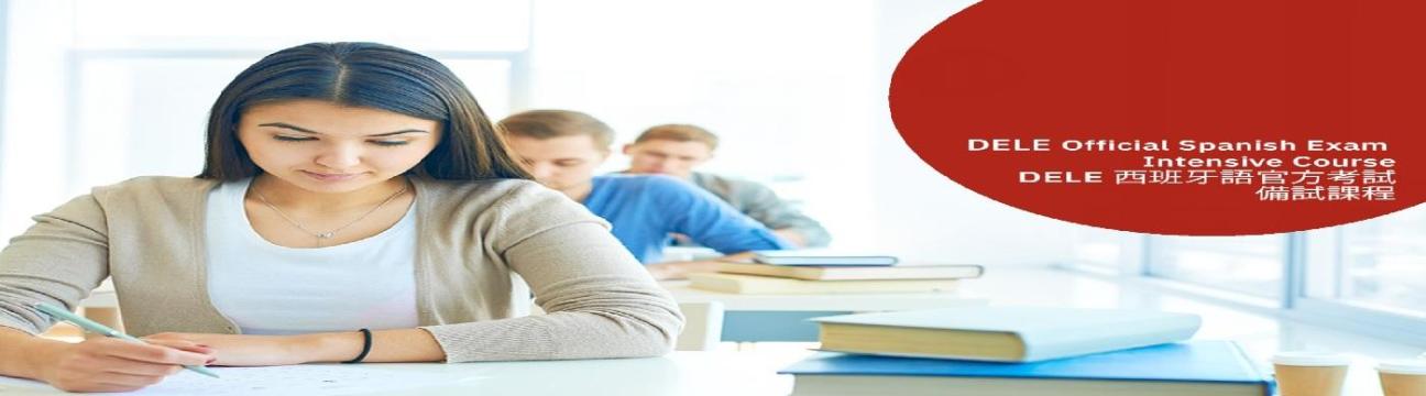 IMMERSE LANGUAGES INSTITUTE