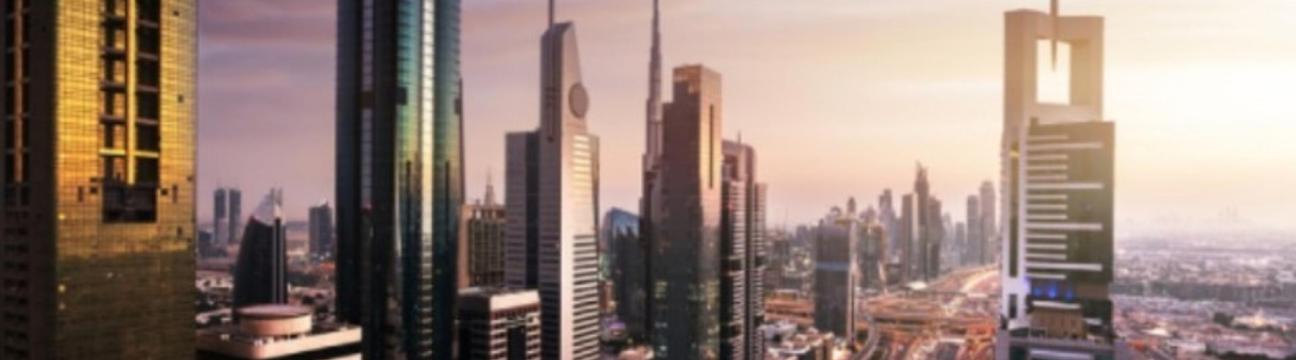 Avyanco Business Setup Consultancy