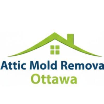 Attic Mold  Removal Ottawa
