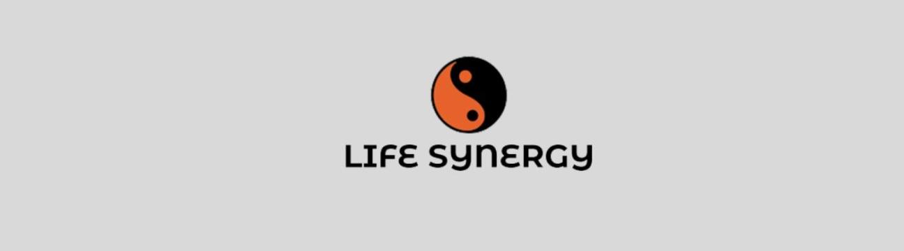 Life Synergy Retreat